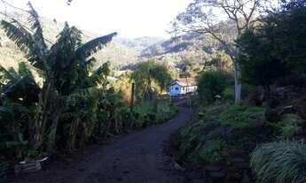 Imagem 6: SITIO RURAL em Picada Café - RS, Floresta