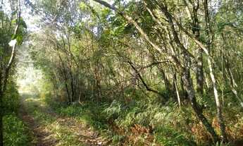 Imagem: AREA RURAL em Nova Petrópolis - RS, Linha