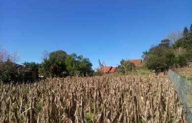 Imagem 2: TERRENO RESIDENCIAL em Nova Petrópolis - RS, Vila Olinda