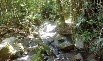 Imagem: AREA RURAL em Nova Petrópolis - RS, Linha