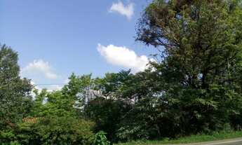 Imagem 3: TERRENO COMERCIAL em Nova Petrópolis - RS, Pousada da Neve