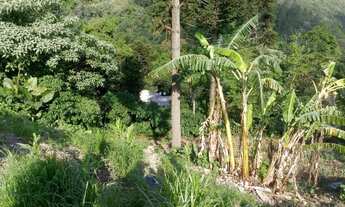 Imagem 3: TERRENO RESIDENCIAL em Nova Petrópolis - RS, Centro