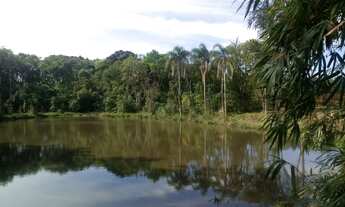 Imagem: AREA RURAL em Nova Petrópolis - RS, Pinhal
