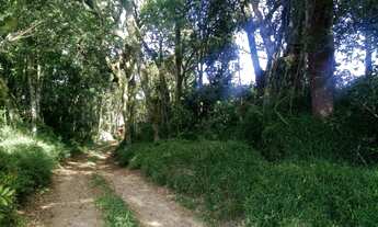 Imagem 2: AREA RURAL em Nova Petrópolis - RS, Pinhal Alto