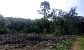 Imagem 4: AREA RURAL em Nova Petrópolis - RS, Pinhal Alto