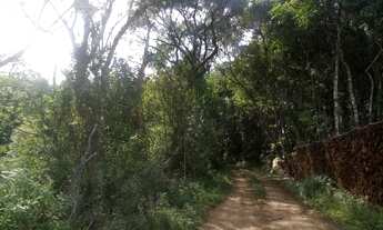 Imagem 5: AREA RURAL em Nova Petrópolis - RS, Pinhal Alto