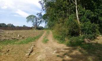 Imagem 6: AREA RURAL em Nova Petrópolis - RS, Pinhal Alto