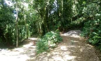 Imagem 5: SITIO RURAL em Nova Petrópolis - RS, Fazenda Pirajá