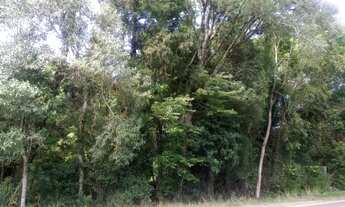 Imagem 4: TERRENO COMERCIAL em Nova Petrópolis - RS, Vale Verde