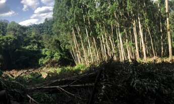 Imagem 6: AREA RURAL em Nova Petrópolis - RS, Linha Olinda