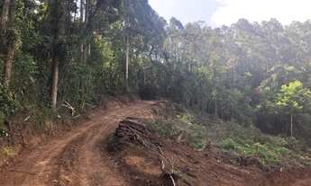 Imagem: AREA RURAL em Nova Petrópolis - RS, Linha