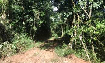 Imagem: AREA RURAL em Nova Petrópolis - RS, Linha