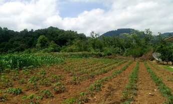Imagem 2: TERRENO RESIDENCIAL em Picada Café - RS, Centro