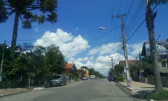 Imagem 3: TERRENO COMERCIAL em Nova Petrópolis - RS, Logradouro