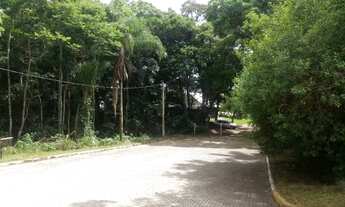 Imagem 2: TERRENO RESIDENCIAL em Nova Petrópolis - RS, Juriti