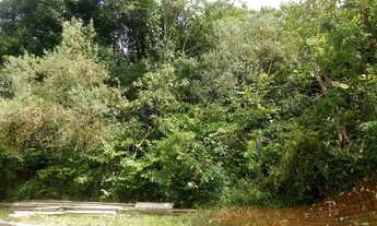 Imagem: TERRENO RESIDENCIAL em Nova Petrópolis