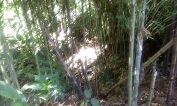 Imagem: AREA RURAL em Nova Petrópolis - RS, Fazenda