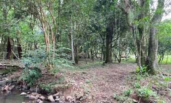 Imagem: SITIO RURAL em Nova Petrópolis - RS, Linha