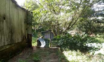 Imagem 6: SITIO RURAL em Picada Café - RS, Caffe Eck