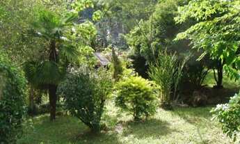 Imagem 7: SITIO RURAL em Nova Petrópolis - RS, Linha Pirajá