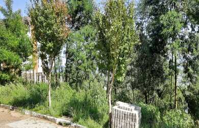 Imagem 3: TERRENO RESIDENCIAL em Nova Petrópolis - RS, Piá