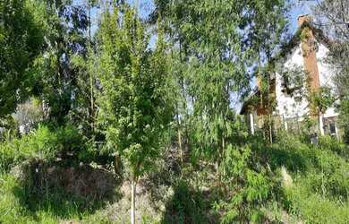 Imagem 2: TERRENO RESIDENCIAL em Nova Petrópolis - RS, Piá