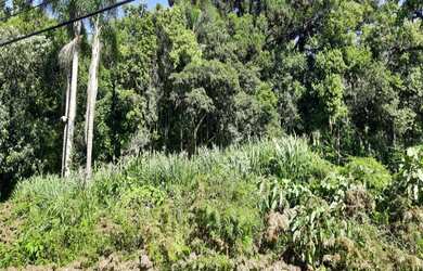 Imagem 2: TERRENO RESIDENCIAL em Nova Petrópolis - RS, Vila Olinda