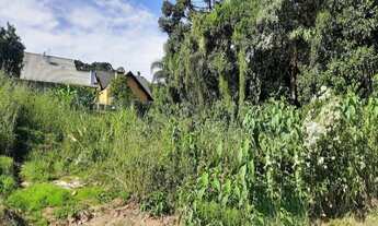 Imagem: TERRENO RESIDENCIAL em Nova Petrópolis