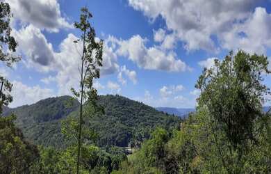 Imagem 4: TERRENO RESIDENCIAL em Nova Petrópolis - RS, Germânia
