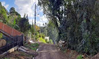 Imagem 7: CASA RESIDENCIAL em Nova Petrópolis - RS, Piá