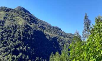 Imagem 3: AREA RURAL em Nova Petrópolis - RS, Pendancino