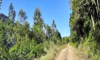 Imagem 4: AREA RURAL em Nova Petrópolis - RS, Pendancino