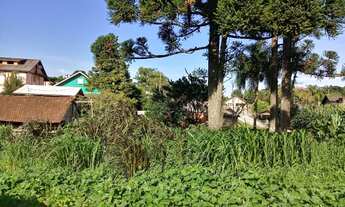 Imagem: TERRENO RESIDENCIAL em Nova Petrópolis