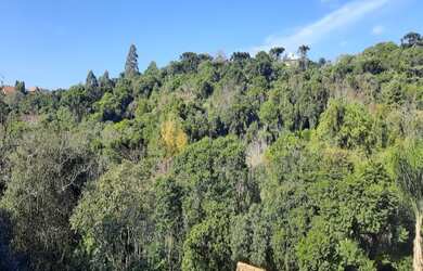 Imagem 4: CASA RESIDENCIAL em NOVA PETRÓPOLIS - RS, Centro