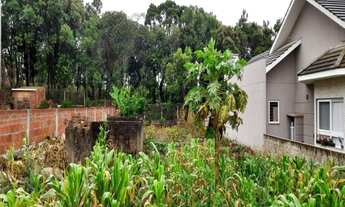 Imagem: TERRENO RESIDENCIAL em NOVA PETRÓPOLIS