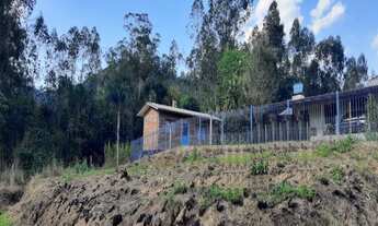 Imagem 2: TERRENO RESIDENCIAL em PICADA CAFÉ - RS, Joaneta