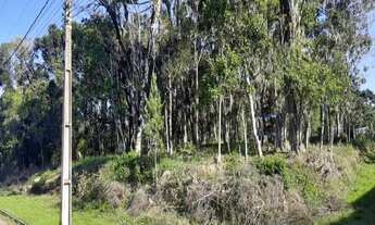 Imagem: TERRENO RESIDENCIAL em Nova Petrópolis