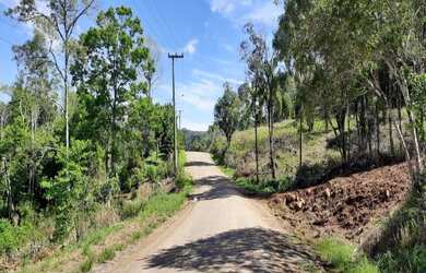 Imagem 6: TERRENO RESIDENCIAL em NOVA PETRÓPOLIS - RS, Piá