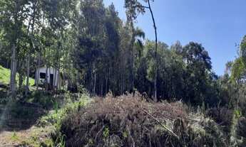 Imagem: TERRENO RESIDENCIAL em NOVA PETRÓPOLIS