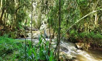 Imagem: AREA RURAL em NOVA PETRÓPOLIS - RS, São