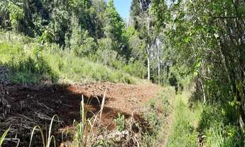 Imagem: AREA RURAL em NOVA PETRÓPOLIS - RS, São