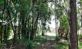 Imagem 2: TERRENO RESIDENCIAL em NOVA PETRÓPOLIS - RS, Pousada da Neve