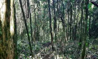 Imagem: AREA RURAL em NOVA PETRÓPOLIS - RS, São