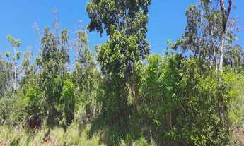 Imagem: TERRENO RESIDENCIAL em NOVA PETRÓPOLIS