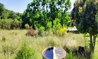 Imagem 4: AREA COMERCIAL em Nova Petrópolis - RS, Linha Araripe