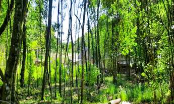 Imagem 4: AREA RURAL em NOVA PETRÓPOLIS - RS, Linha Araripe