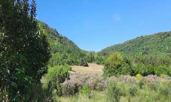 Imagem 7: AREA COMERCIAL em Nova Petrópolis - RS, Linha Araripe