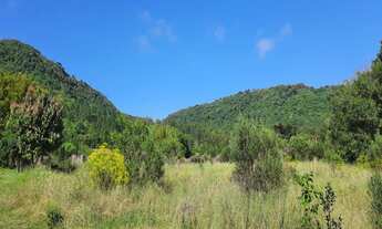 Imagem 6: AREA COMERCIAL em Nova Petrópolis - RS, Linha Araripe