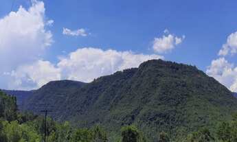 Imagem: AREA RURAL em NOVA PETRÓPOLIS - RS, Riachuelo