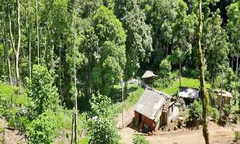 Imagem: SITIO RURAL em NOVA PETRÓPOLIS - RS, Linha